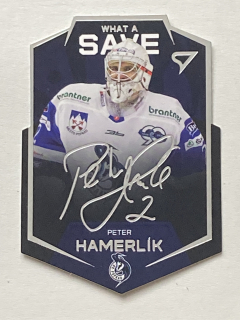 2020/21 Tipos Extraliga #WS-06 Peter Hamerlík - WHAT A SAVE