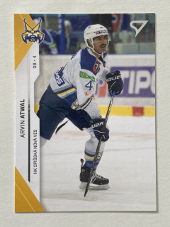 2021/22 Tipos Extraliga #201 Arvin Atwal