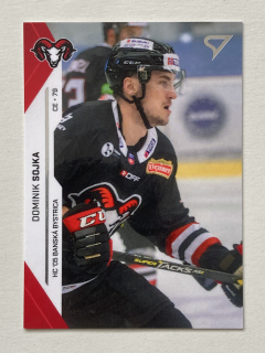 2021/22 Tipos Extraliga #304 Dominik Sojka