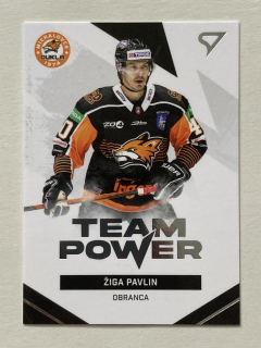 2021/22 Tipos Extraliga #TP-07 Žiga Pavlin - TEAM POWER
