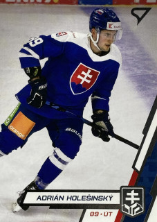 2023 Hokejové Slovensko #29 Adrián Holešinský