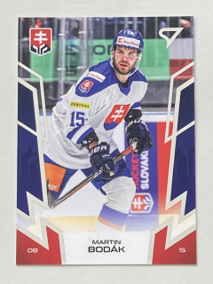 2024 Hokejové Slovensko #07 Martin Bodák