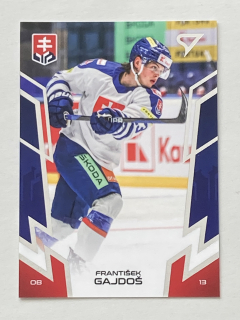 2024 Hokejové Slovensko #11 František Gajdoš