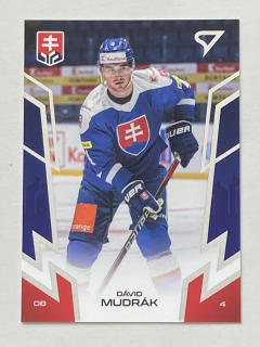 2024 Hokejové Slovensko #21 Dávid Mudrák
