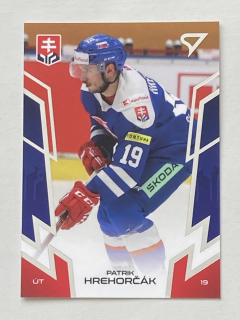 2024 Hokejové Slovensko #31 Patrik Hrehorčák