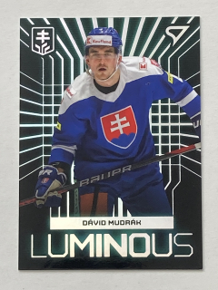2024 Hokejové Slovensko #LS-09 Dávid Mudrák - LUMINOUS