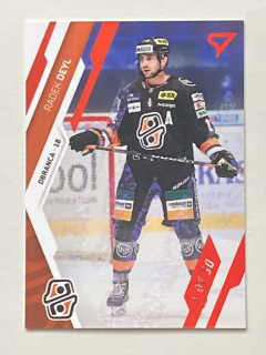 2023/24 Tipos Extraliga GOAL LIGHT #004 Radek Deyl /30
