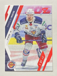 2023/24 Tipos Extraliga GOAL LIGHT #228 Miroslav Mucha /30