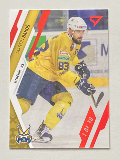 2023/24 Tipos Extraliga GOAL LIGHT #231 Martin Bakoš /30