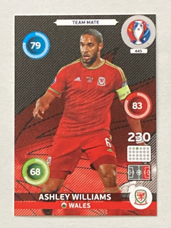 2016 EURO Adrenalin XL #445 Ashley Williams