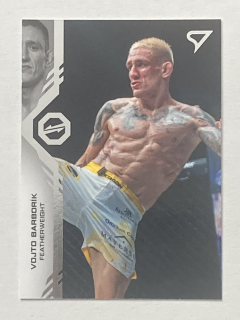 2024 Oktagon MMA #023 Vojto Barborík