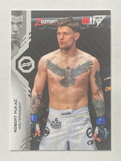 2024 Oktagon MMA #091 Róbert Pukač