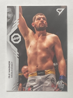 2024 Oktagon MMA #115 Ole Magnor