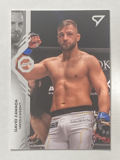 2024 Oktagon MMA #126 David Zawada