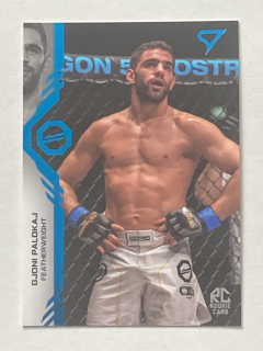 2024 Oktagon MMA BLUE #033 Gjoni Palokaj