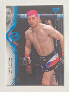 2024 Oktagon MMA BLUE #084 David Kozma