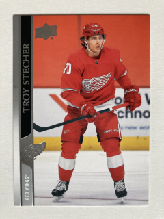 2020-21 UD Extended #550 Troy Stecher