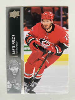 2021-22 UD Series 1 #035 Bret Pesce