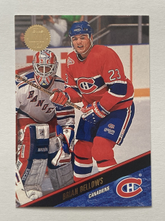 1993-94 Leaf #076 Brian Bellows