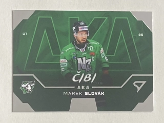 2024/25 Tipos Extraliga #AK-25 Marek Slovák - AKA