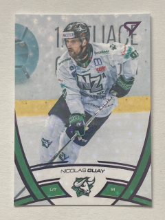 2024/25 Tipos Extraliga PUCK MARKS #191 Nicolas Guay