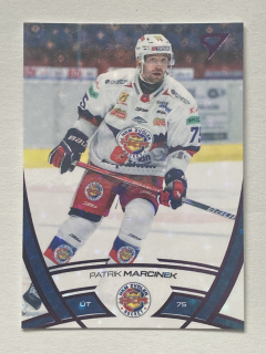 2024/25 Tipos Extraliga PUCK MARKS #141 Patrik Marcinek
