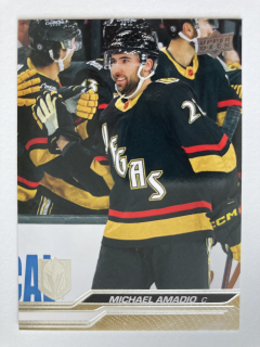 2023-24 UD Series 2 #433 Michael Amadio