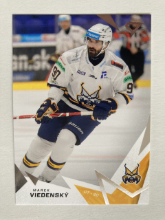 2025/26 Tipsport Liga #262 Marek Viedenský