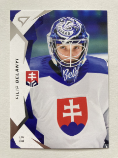 2025 Hokejové Slovensko #01 Filip Belányi
