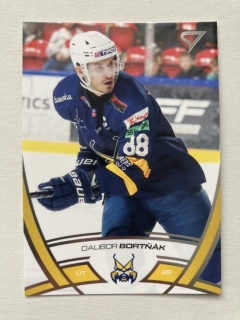 2024/25 Tipos Extraliga #028 Dalibor Bortňák