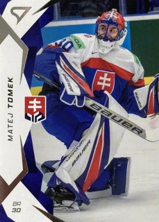 2025 Hokejové Slovensko #07 Matej Tomek