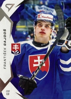 2025 Hokejové Slovensko #11 František Gajdoš