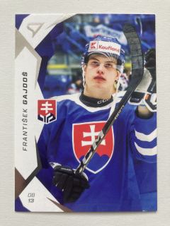 2025 Hokejové Slovensko #11 František Gajdoš