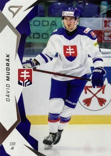 2025 Hokejové Slovensko #19 Dávid Mudrák