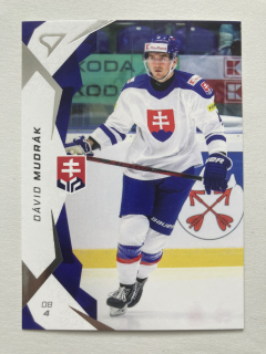 2025 Hokejové Slovensko #19 Dávid Mudrák