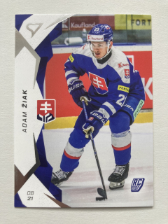 2025 Hokejové Slovensko #26 Adam Žiak - RC