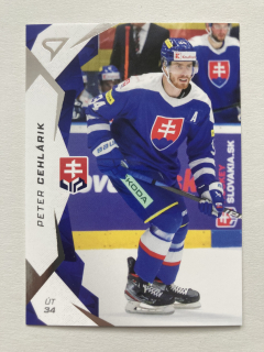 2025 Hokejové Slovensko #28 Peter Cehlárik