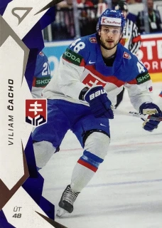 2025 Hokejové Slovensko #30 Viliam Čacho