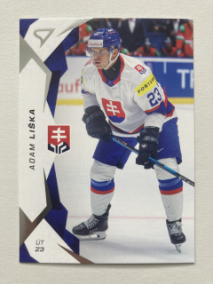 2025 Hokejové Slovensko #47 Adam Liška