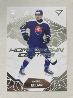 2025 Hokejové Slovensko #HS-03 Andrej Golian - HOMEGROWN ICE STARS