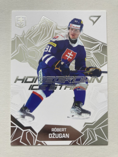2025 Hokejové Slovensko #HS-09 Róbert Džugan - HOMEGROWN ICE STARS