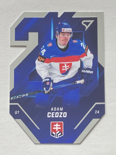 2025 Hokejové Slovensko #SD-08 Adam Cedzo - TEAM 20