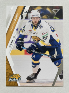 2023/24 Tipos Extraliga #317 Dominik Borov