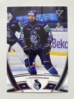 2024/25 Tipos Extraliga #252 Ľubomír Malina
