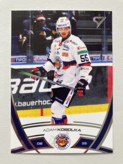 2024/25 Tipos Extraliga #276 Adam Kobolka