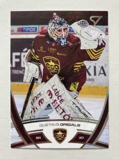 2024/25 Tipos Extraliga #284 Gustavs Grigals