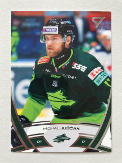 2024/25 Tipos Extraliga #323 Michal Juščák